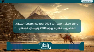 يا خبر أبيض! سيارات 2025 الجديدة وصلت السوق المصري.. مقارنة بيجو 2008 ونيسان قشقاي